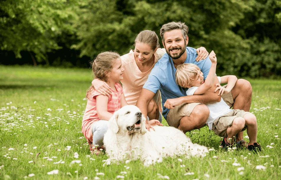 Převod z rodiče na dítě